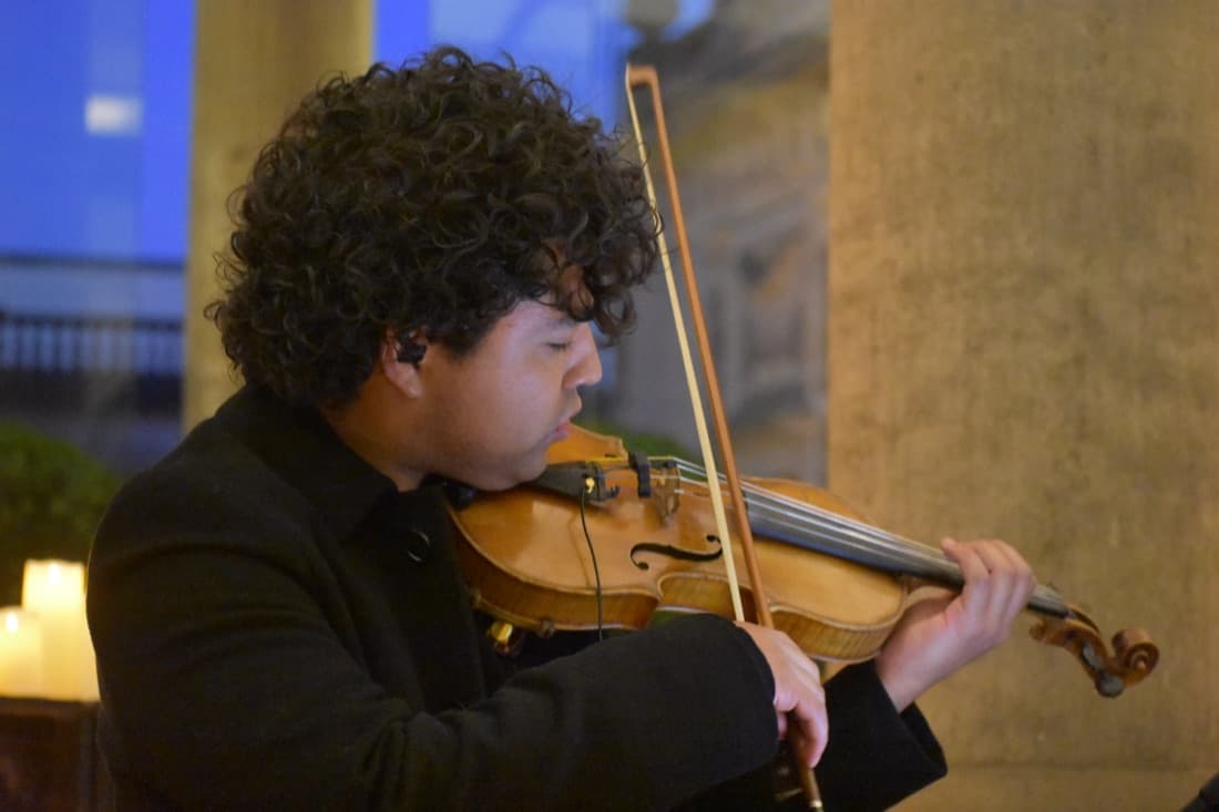 Músico — Violín solista