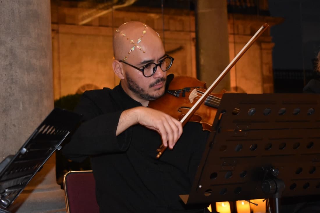 Músico — Violín