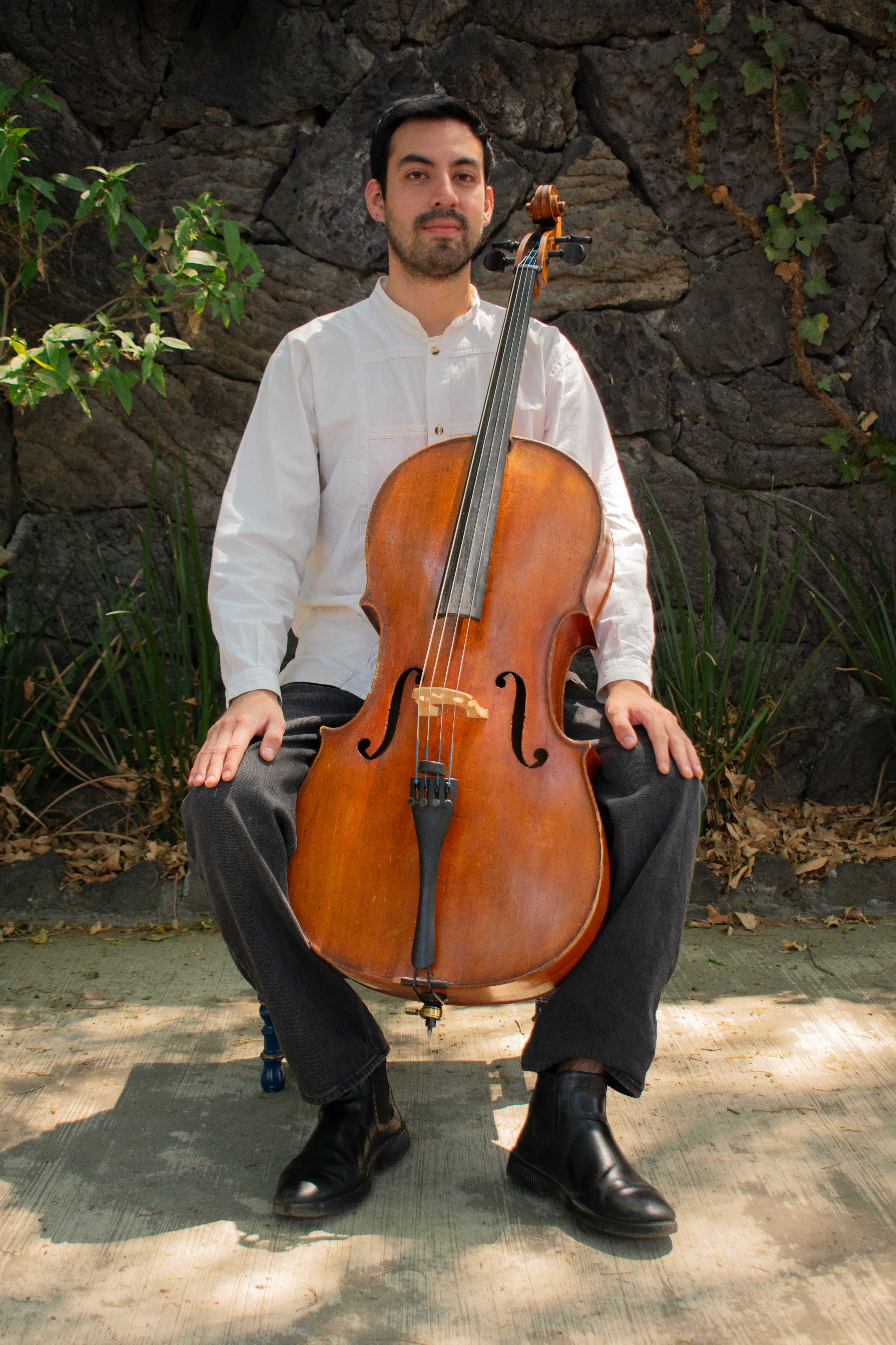 Violonchelo